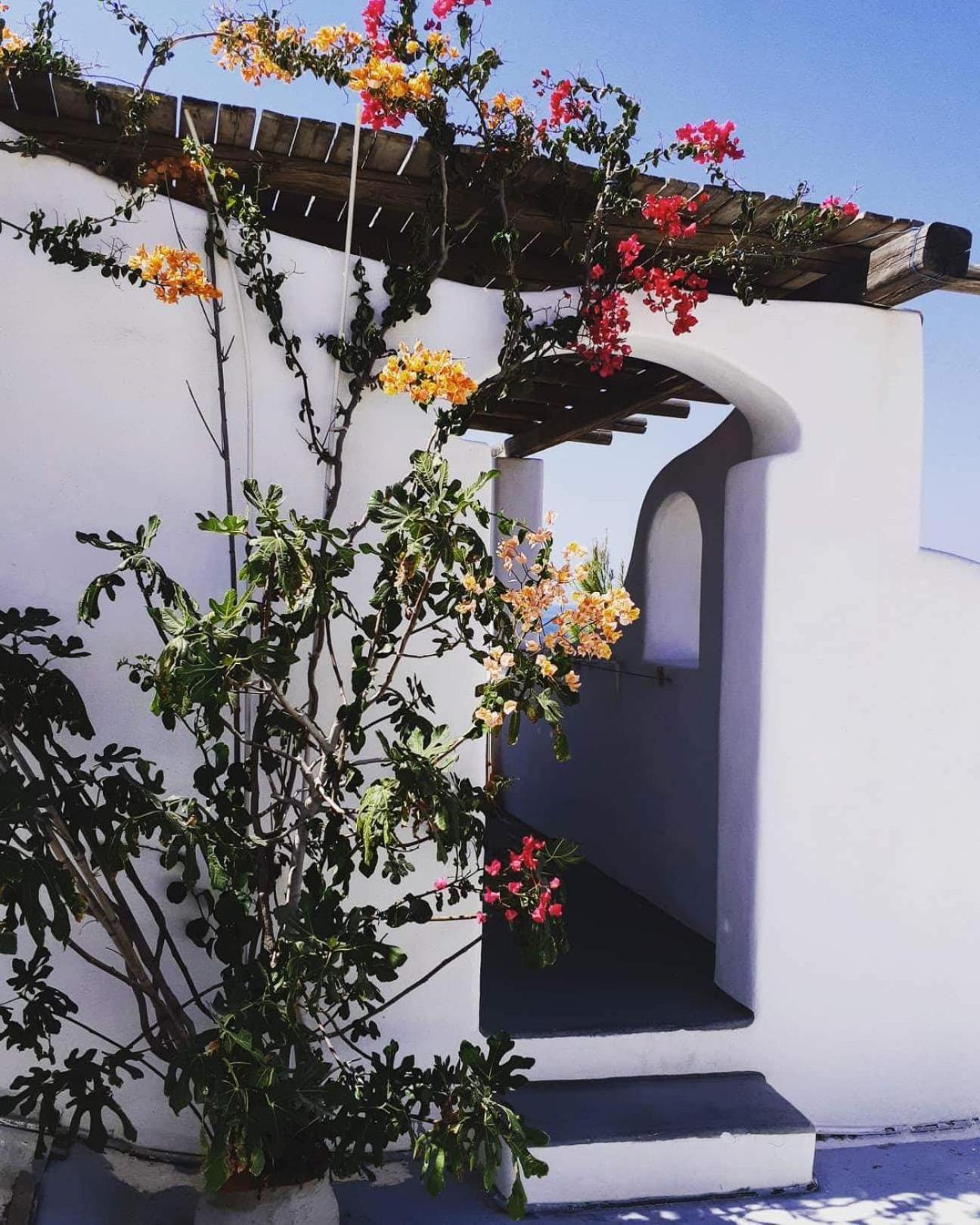 Iliovasilema Studios Koufonisi Koufonisia Bagian luar foto
