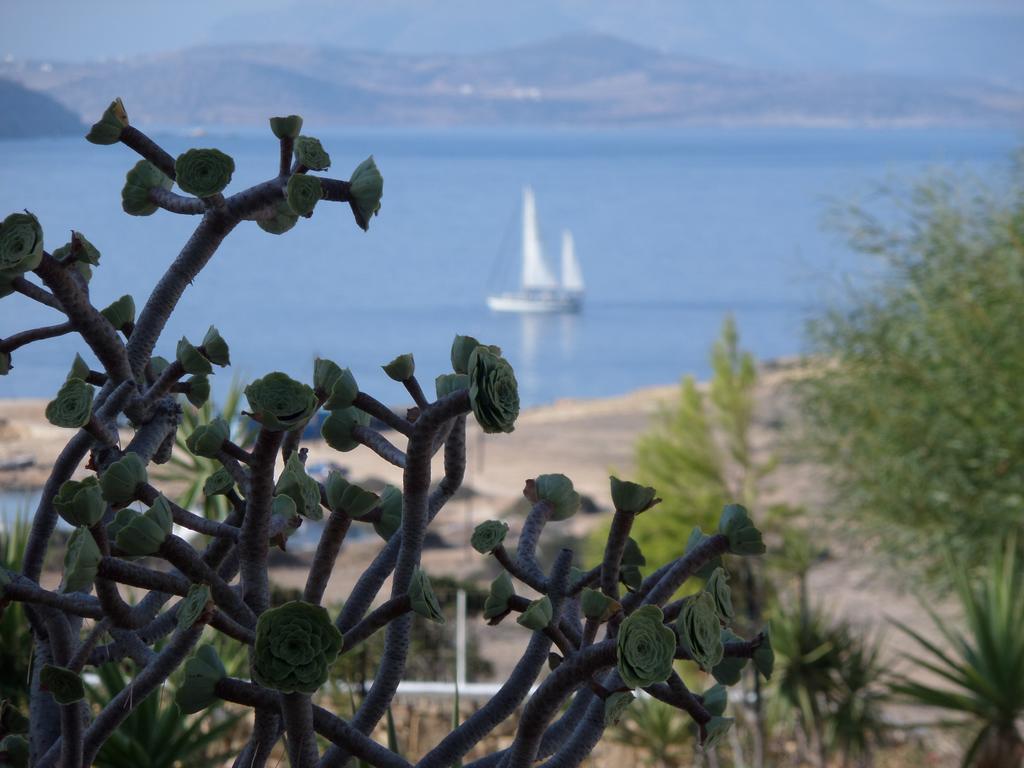Iliovasilema Studios Koufonisi Koufonisia Bagian luar foto